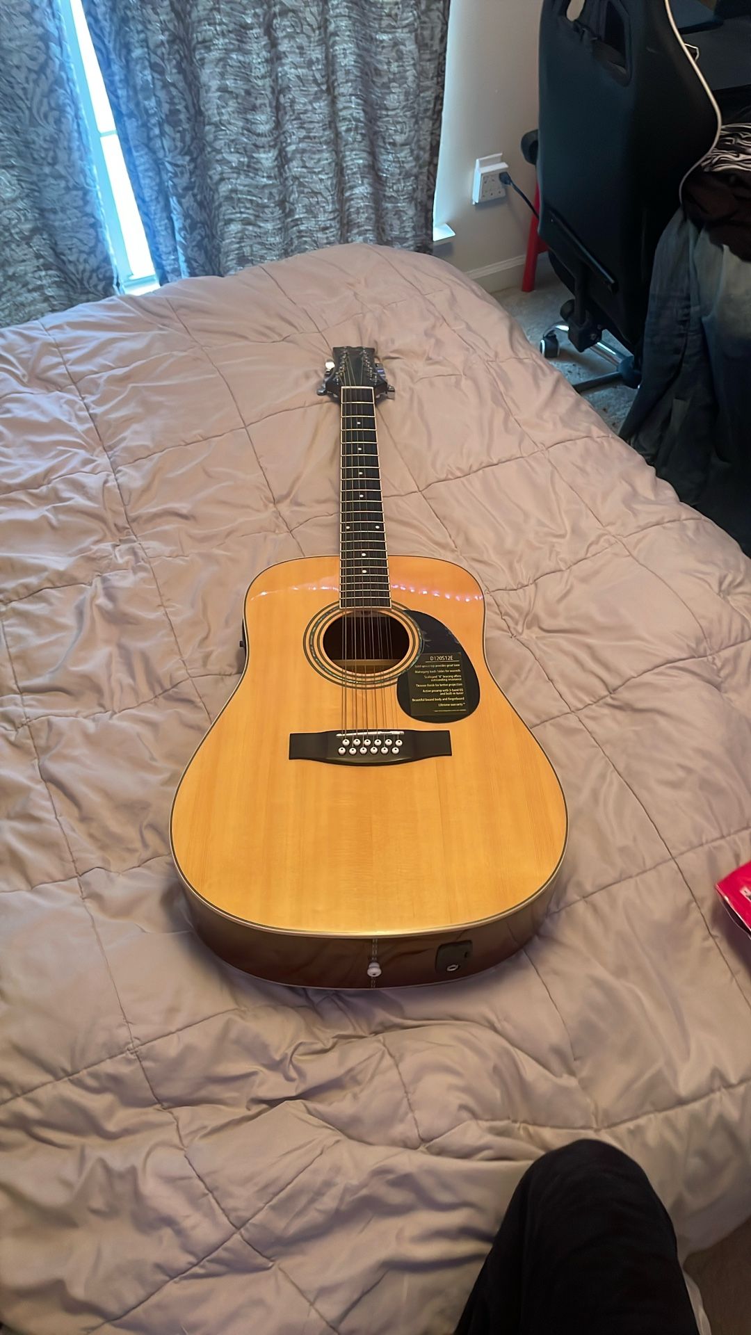 Mitchell 12 String