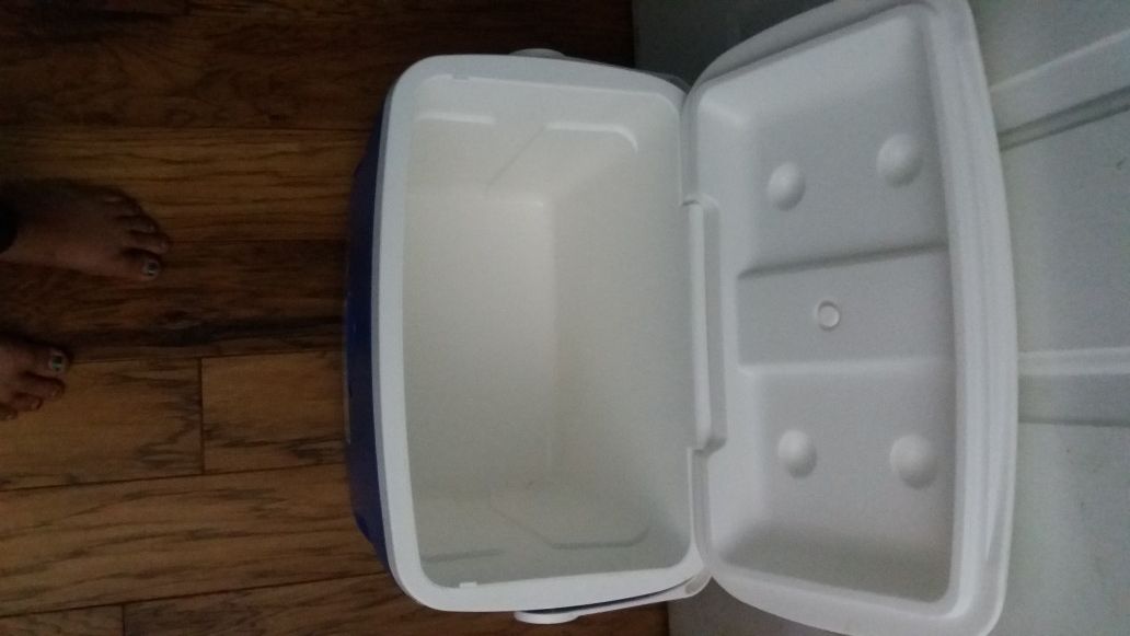 Cooler