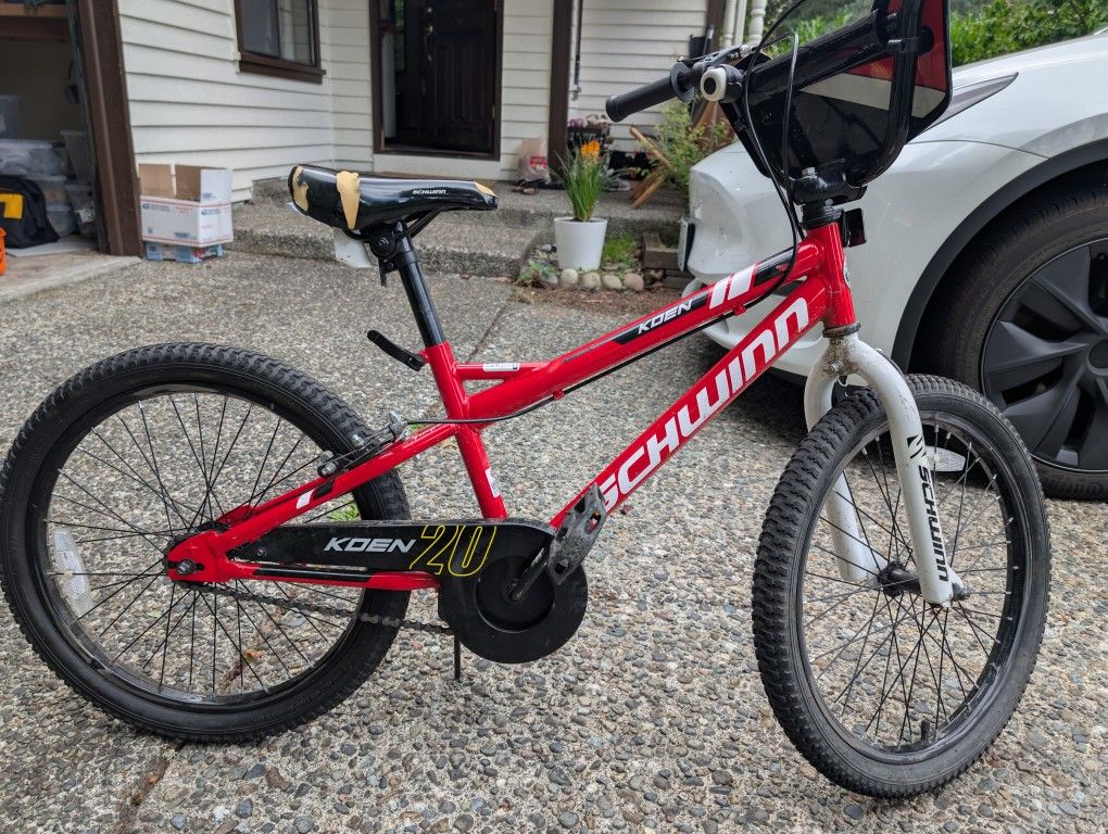 Schwinn Koen 20 Bike