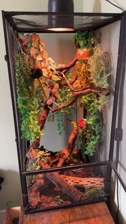 Reptile Enclosure