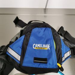 Camel Back Bag 