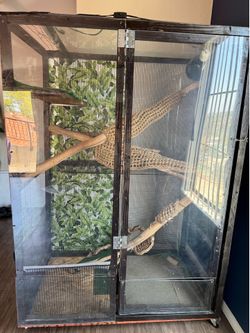 Reptile cage