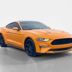 2019 Ford Mustang