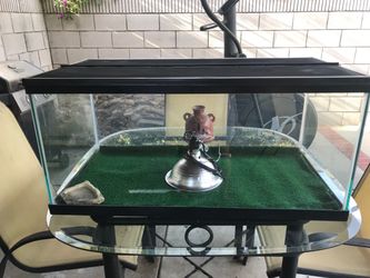55 Gallon Glass Reptile Tank
