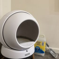 Robotic Litter Box