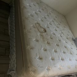 King Mattress & Box Spring