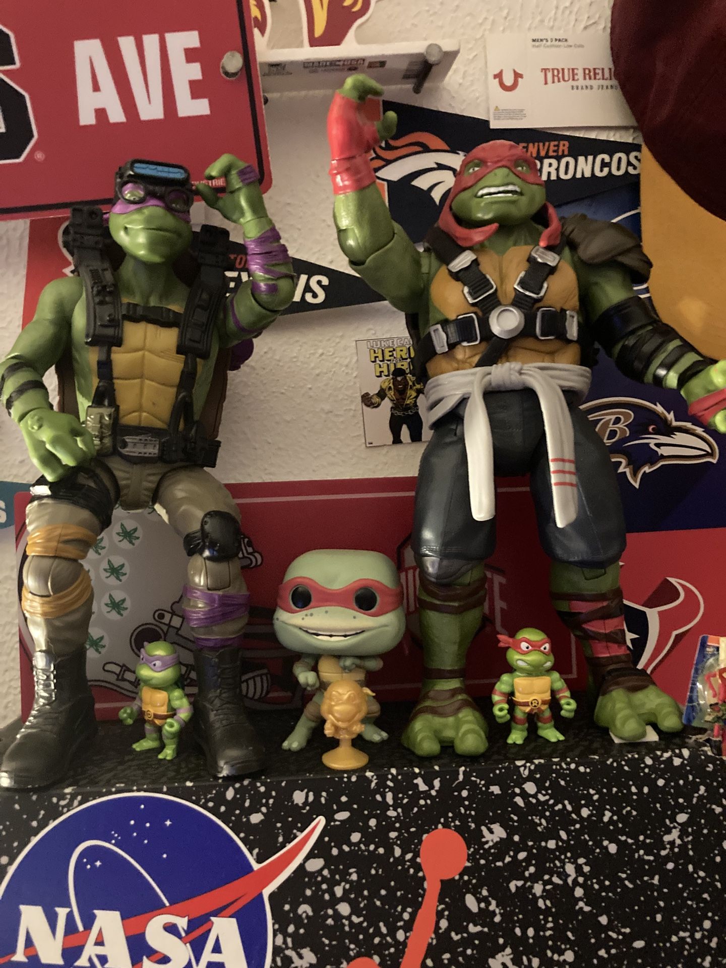 Huge Ninja Turtles And Small Ones