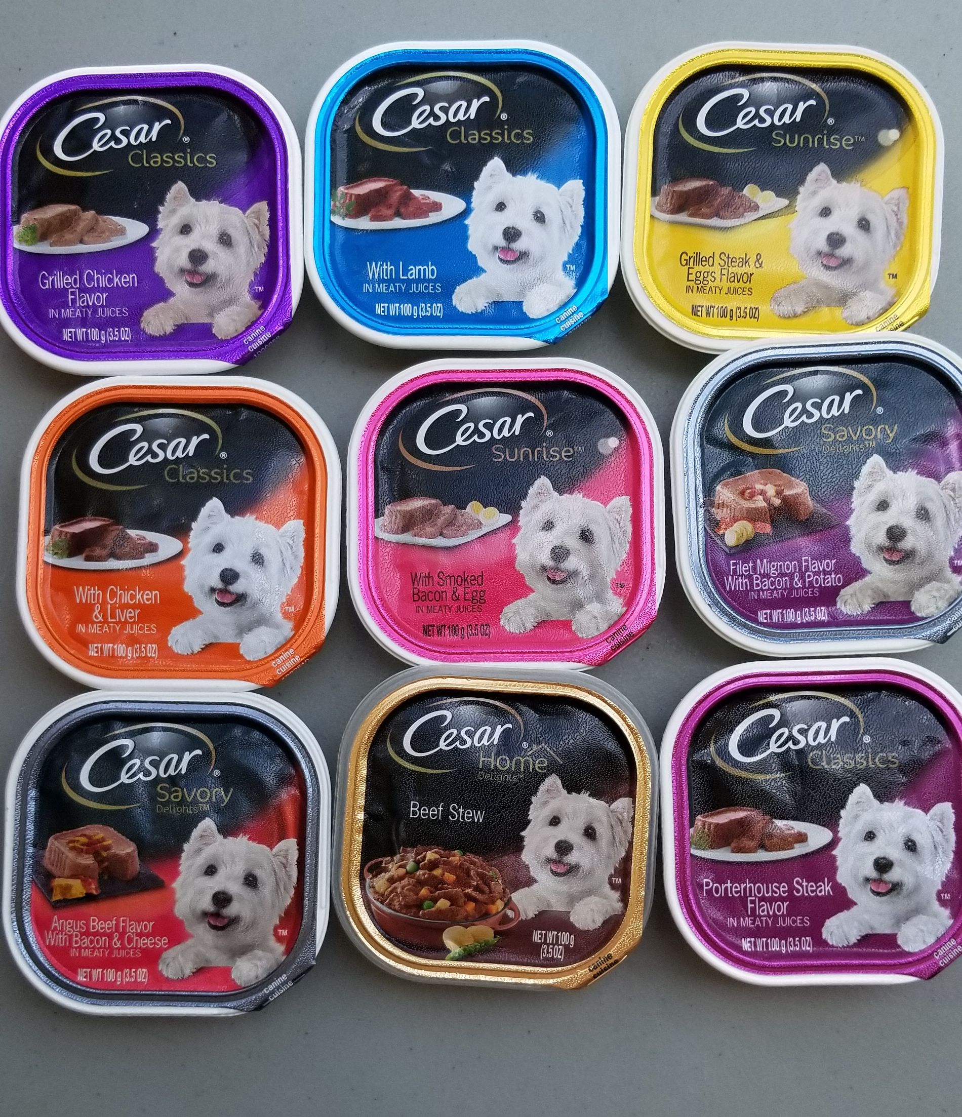 Cesar Savory Wet Dog Food