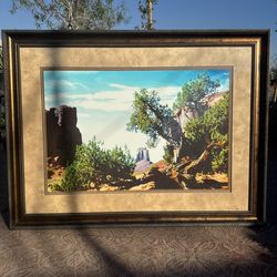 Large Frame Great For Office