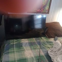 Insignia Roku Tv  29inch