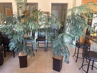 2 Artificial indoor Plants