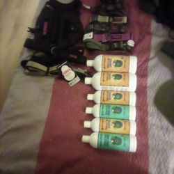 Kong Leashes, Harness And Earth bath Flea And Tick Shampoo And Conditioner