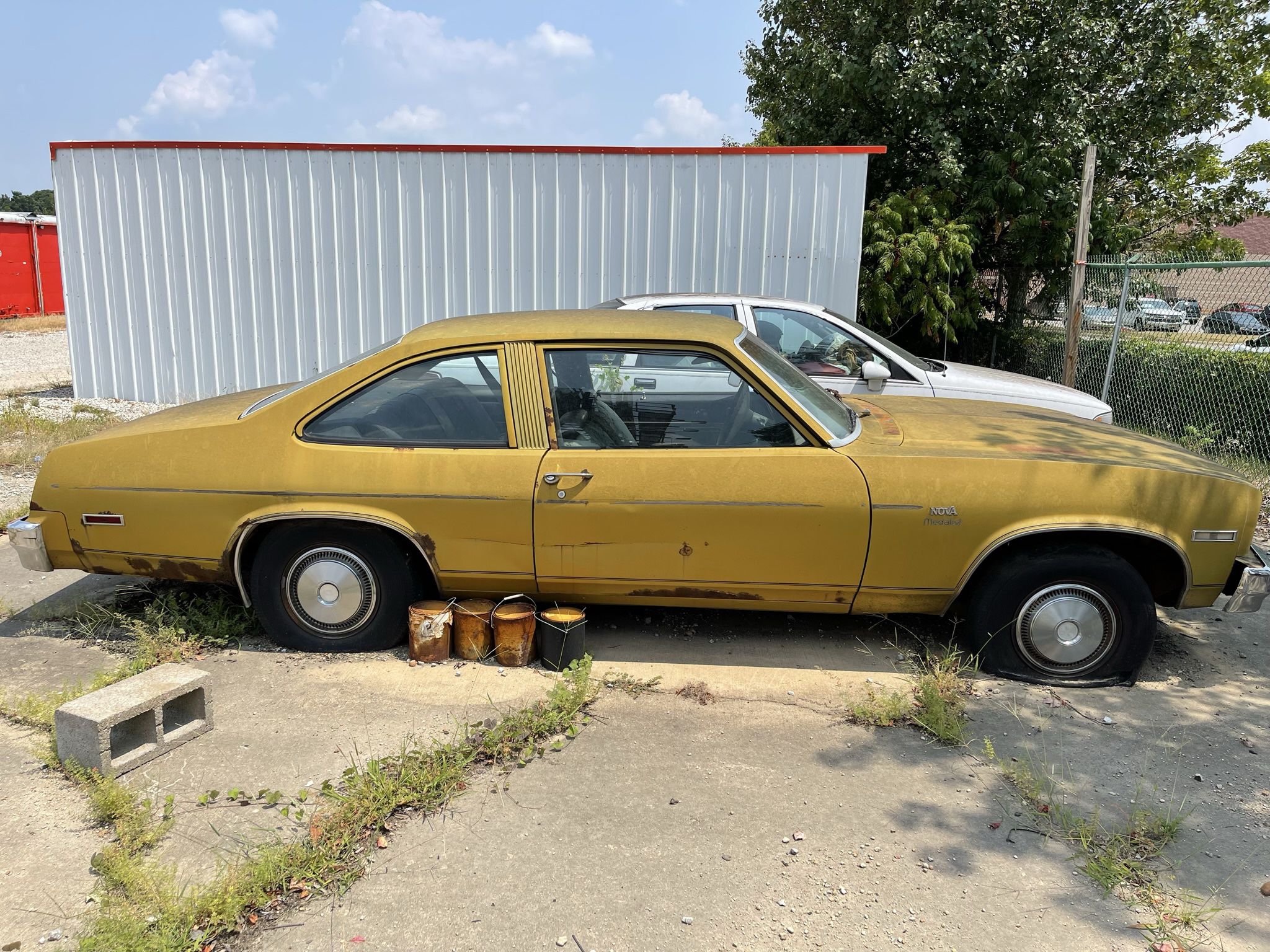 1976 Chevrolet Nova (location Arkansas)