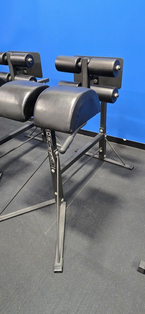 Glute And Hamstring Developer