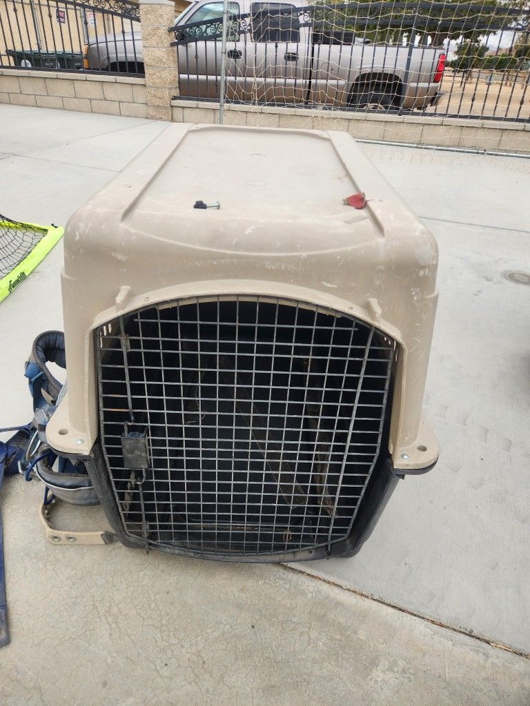 Large Dog Kennel 