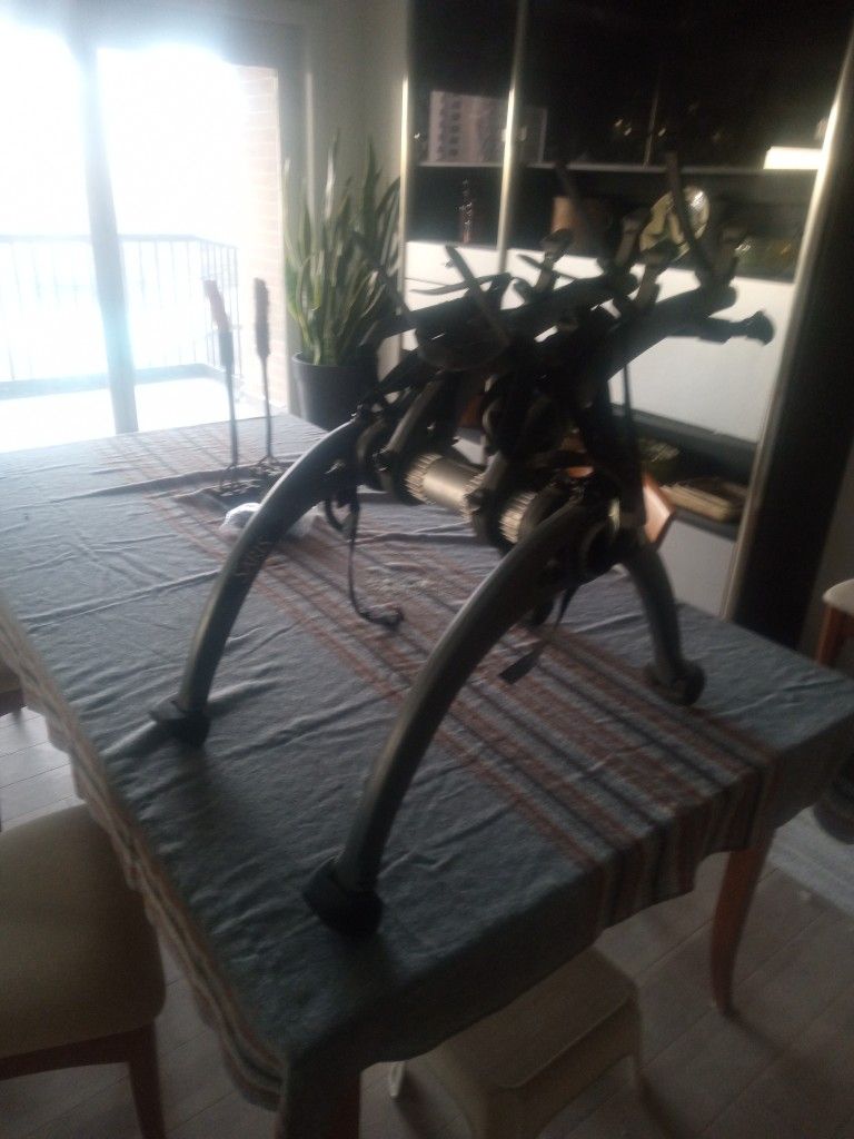 Saris Bike Rack