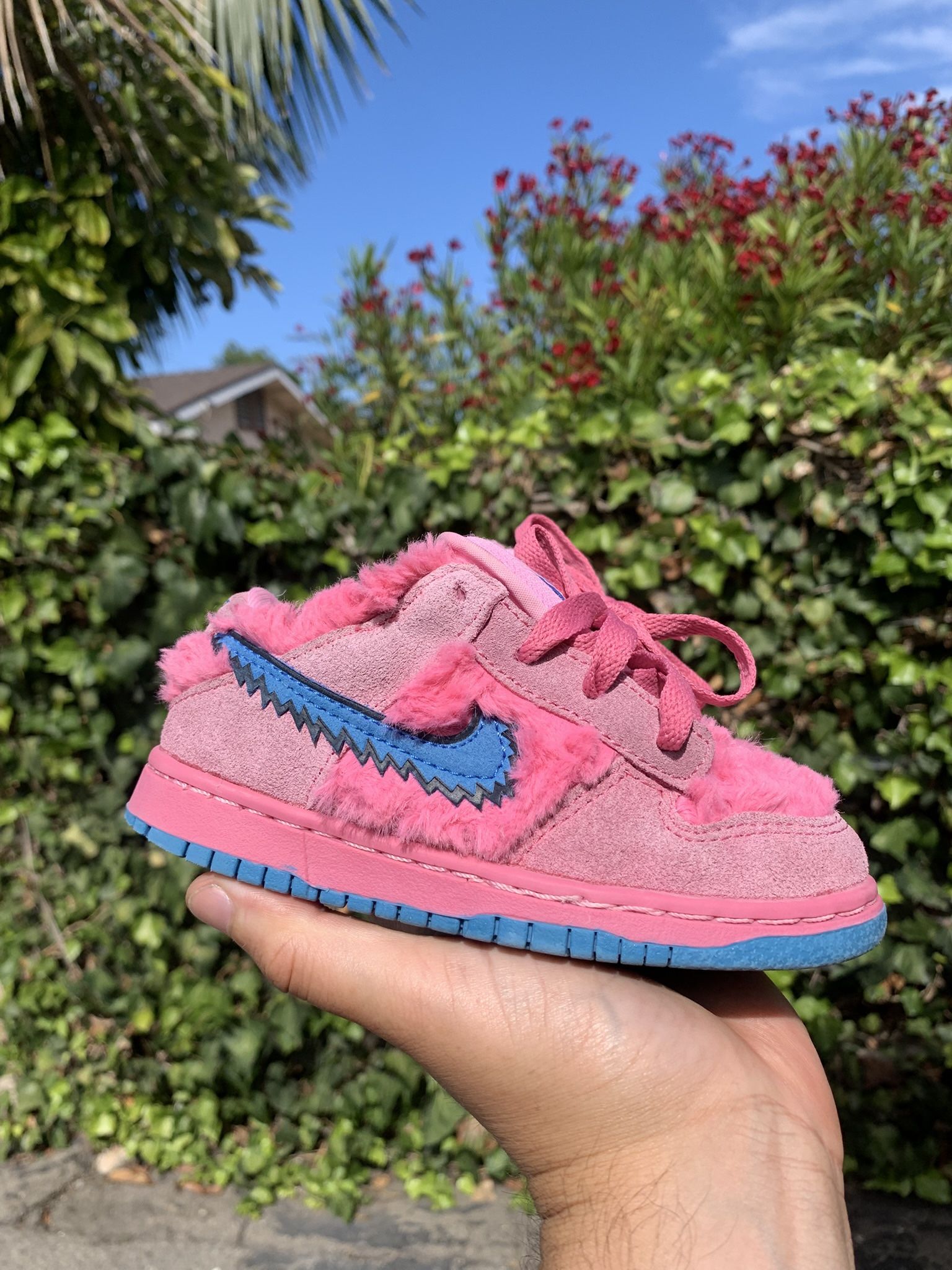 Nike Sb