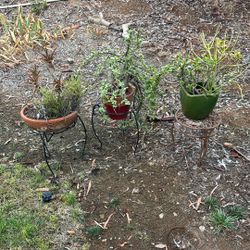 Succulent Pots With Stands 