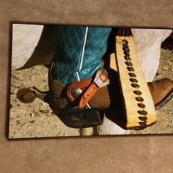 Cowboy Boot Wood Framed Picture 