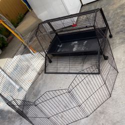 Regirá Para Perrito