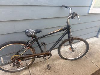 FREE ADULT  BIKE. FREE