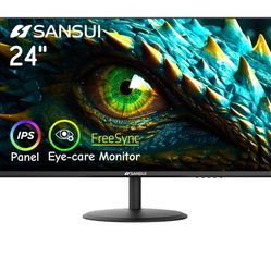 Computer Monitor