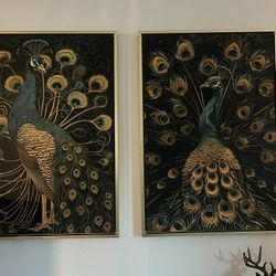 Moncasso Luxe Peacocks prints with floating gold frames