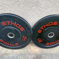 2-10 Lbs Bumper Plate Weights 