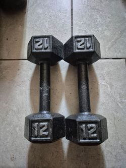 12lbs Dumbells Weights