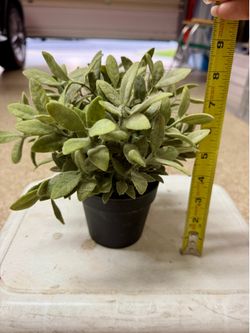 Artificial Plant