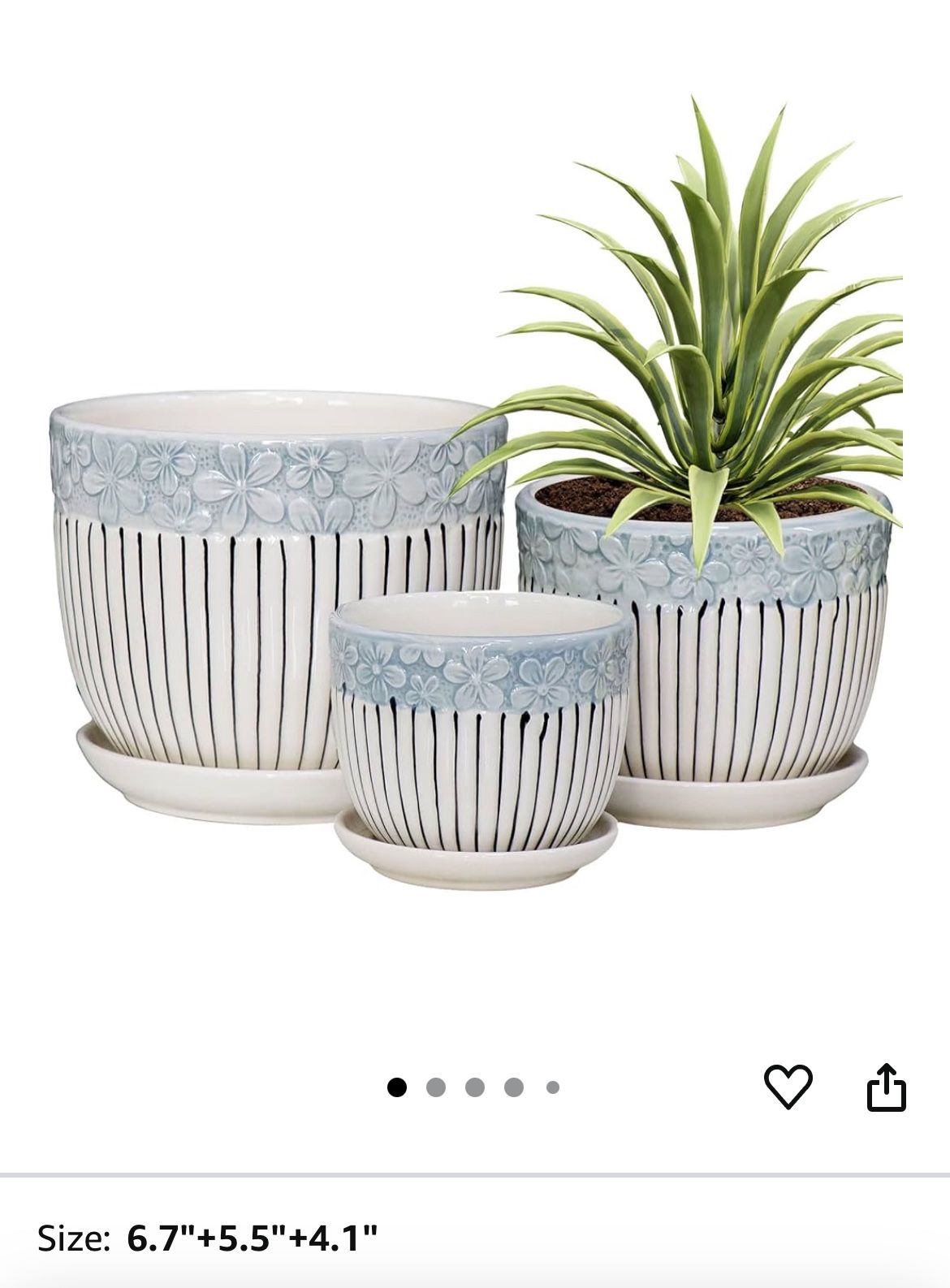 Plant Pots