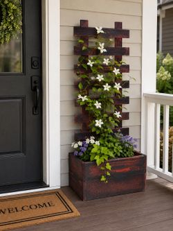 Planter box with trellis