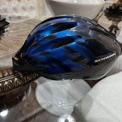 Schwinn Bike Helmet