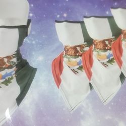 Mexico Flag Neck Gaiters