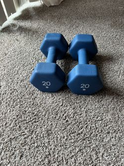 25lb Weights 