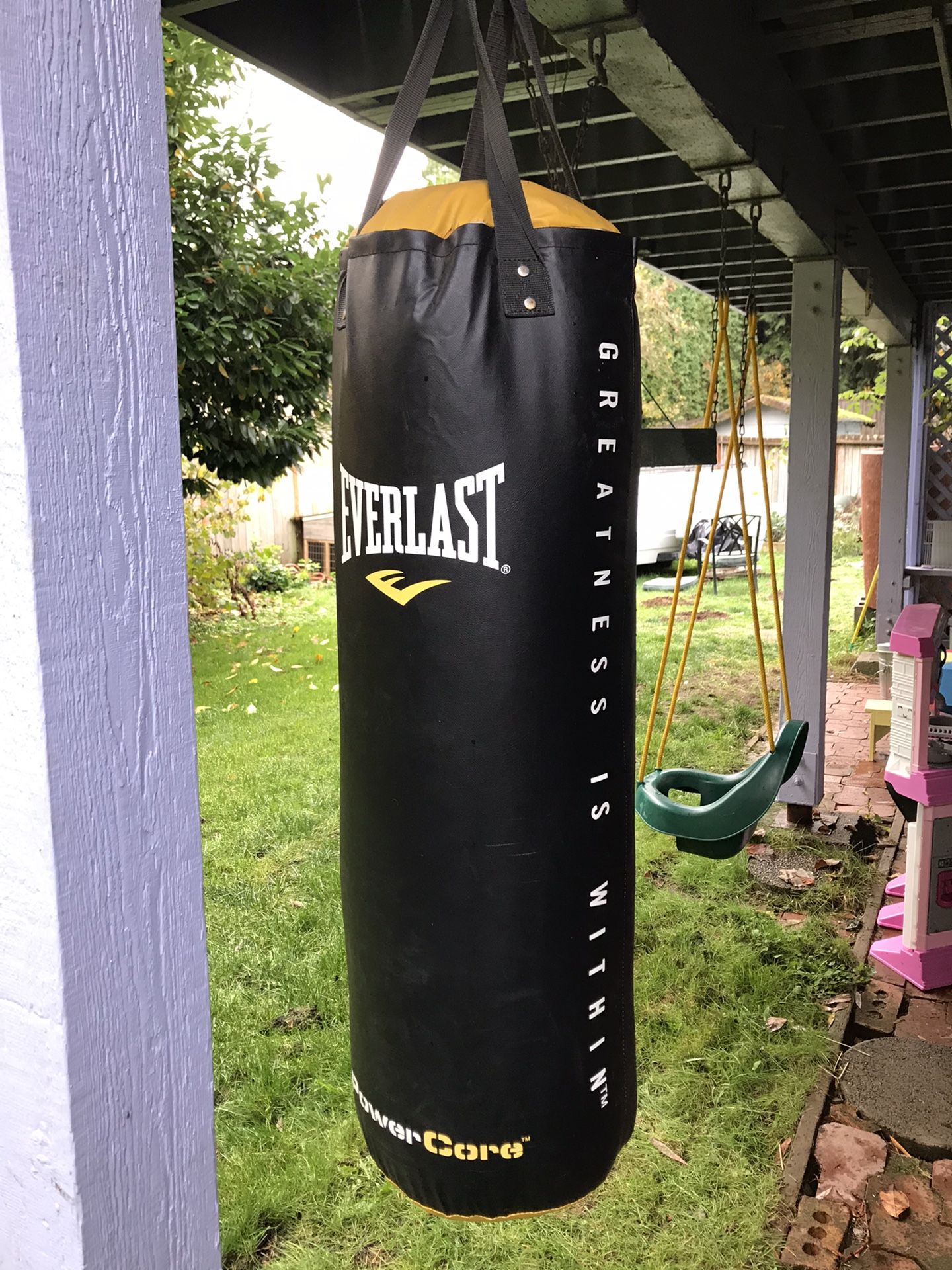 Everlast Power Core Boxing/Punching Bag