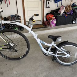 WeeRide Co-Pilot Child Bike Trailer