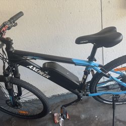 electric bicycles