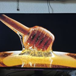 LG UltraGear OLED 240hz 1440p