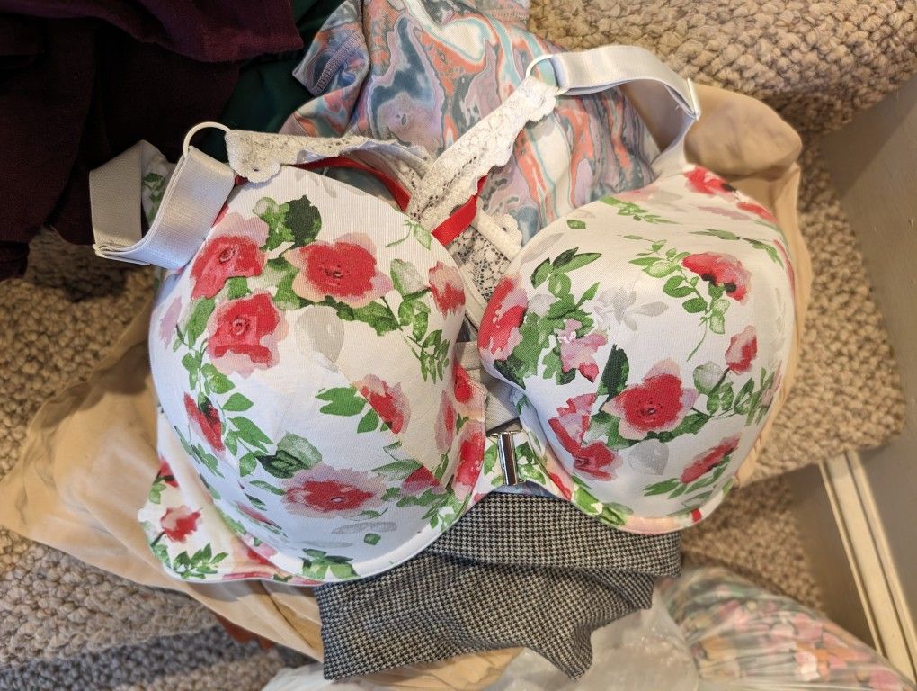 Cacique Bra 46DDD
