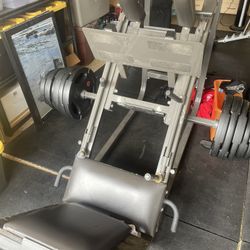 Leg Press