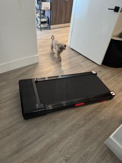 Walking Pad Exercises