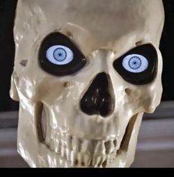 Skelly! 12' skeleton from Home Depot
