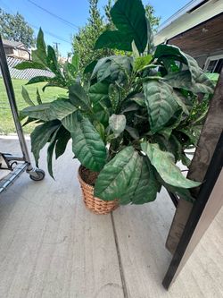 Large Artificial Indoor Plant with Decorative Woven Basket – 28” Tall