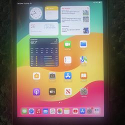 iPad Mini 5  (64g)