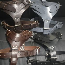 Dog Harness