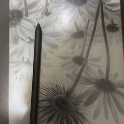 Kindle Scribe