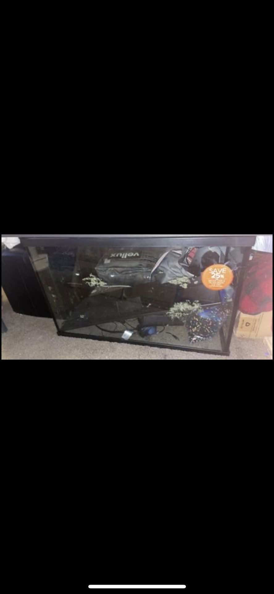 40 gallon fish tank