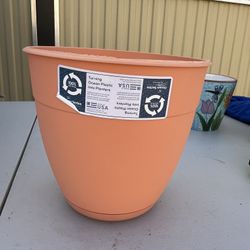 Coral Dayton 6in Ocean Plastic Planter