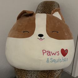 Rare Jumbo Squishmallow